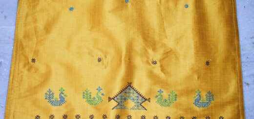 Kasuti embroidery on dress